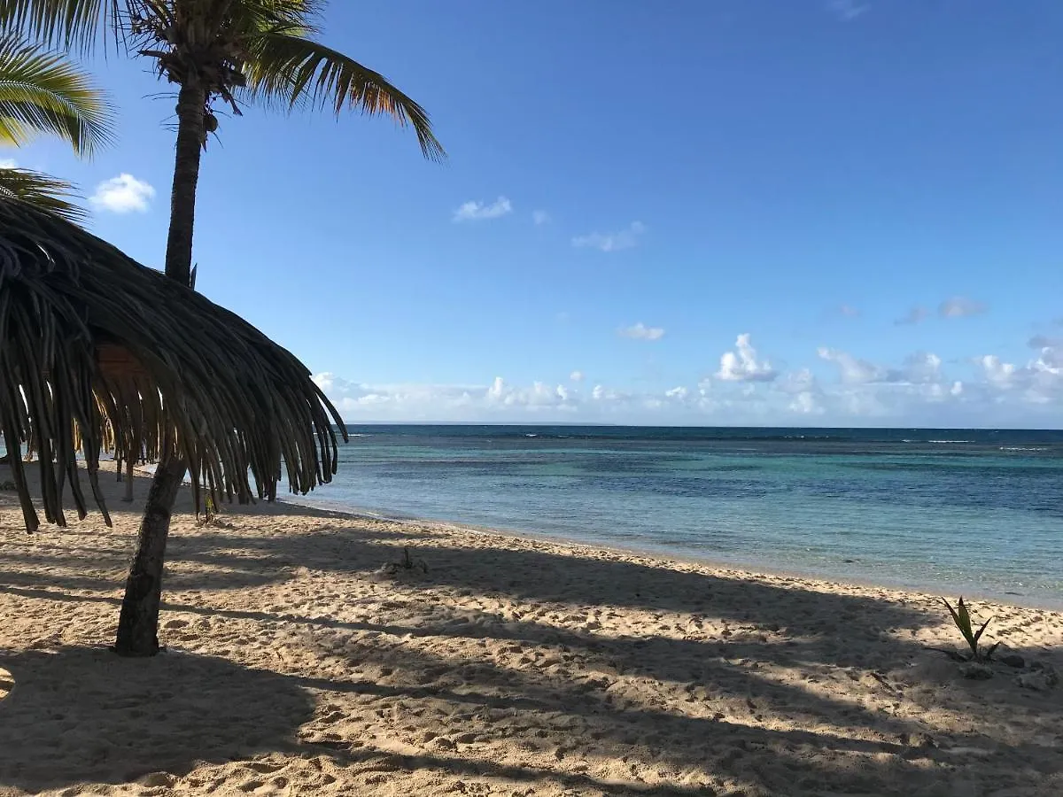 Apartment Brin D'Ile Anse Des Rochers Vue Mer A 50 M De La Plage Et Piscine Saint-Francois