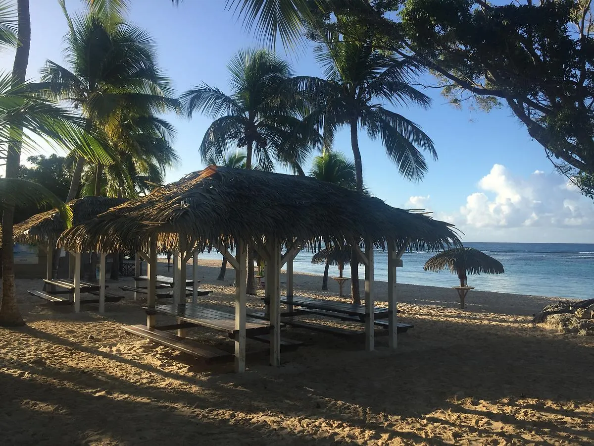 Apartment Brin D'Ile Anse Des Rochers Vue Mer A 50 M De La Plage Et Piscine Saint-Francois  Guadeloupe