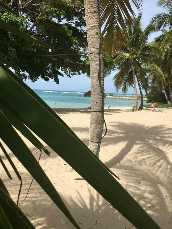 Brin D'Ile Anse Des Rochers Vue Mer A 50 M De La Plage Et Piscine Saint-Francois