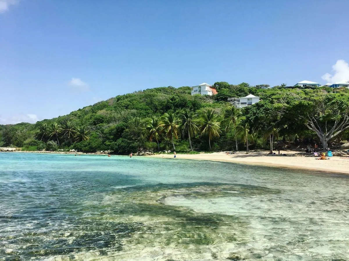 Apartment Brin D'Ile Anse Des Rochers Vue Mer A 50 M De La Plage Et Piscine Saint-Francois  Guadeloupe